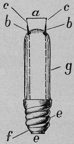 nernstlampe_me1899.gif (38 KB)